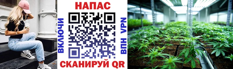 Канабис ГИДРОПОН  Кириши 